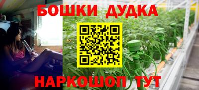 шишки Кинель