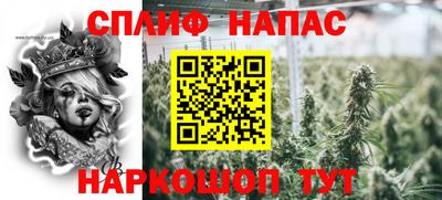 шишки Кинель