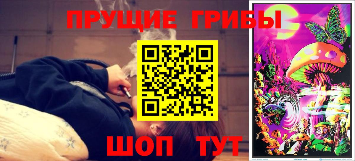 Псилоцибиновые грибы Magic Shrooms Красноармейск