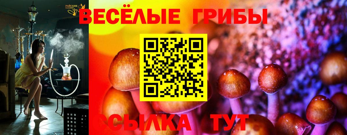 купить закладку  Вход с VPN  Красноармейск  Галлюциногенные грибы GOLDEN TEACHER  Псилоцибиновые грибы GOLDEN TEACHER 